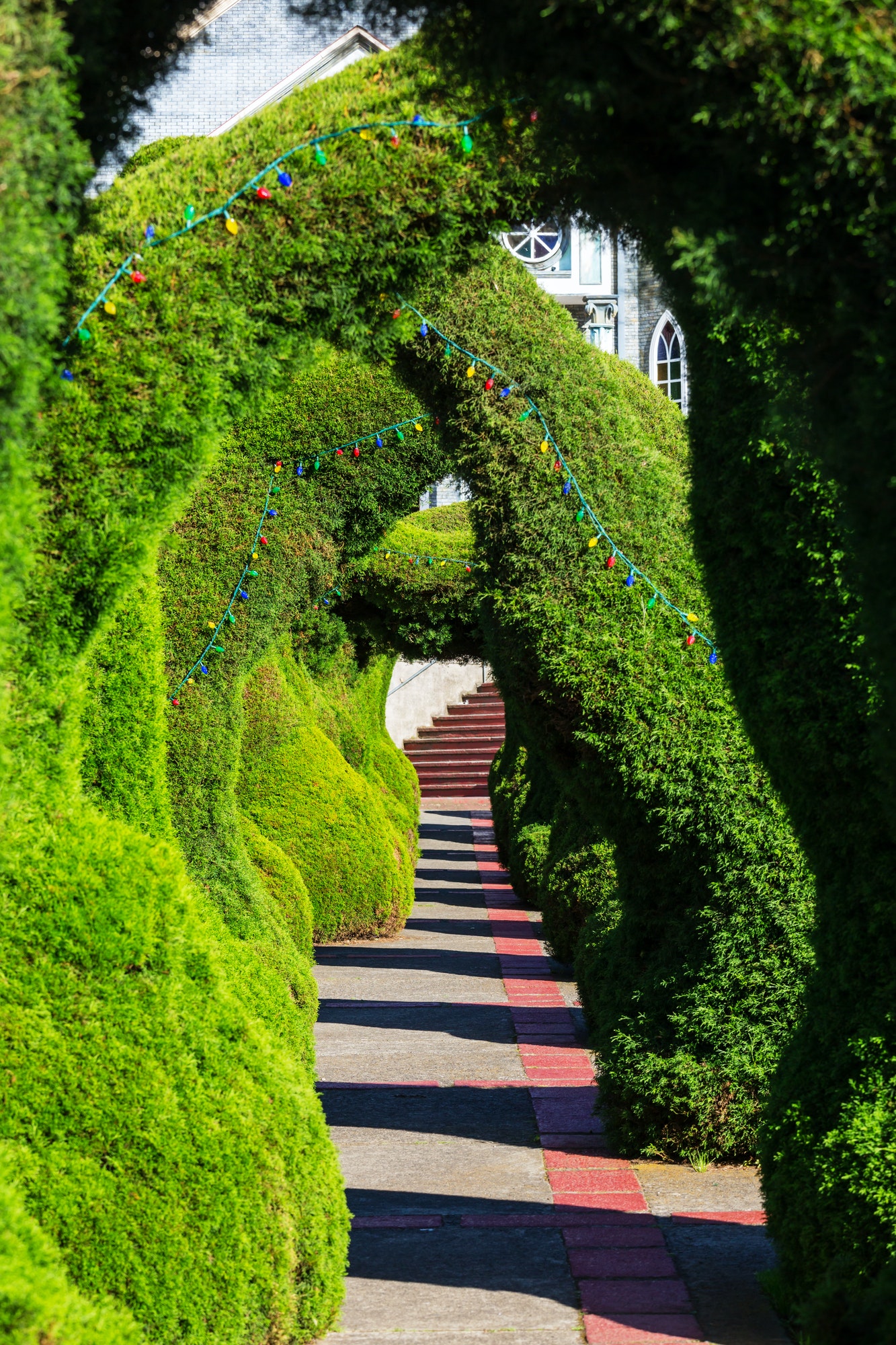 Garden in Costa Rica