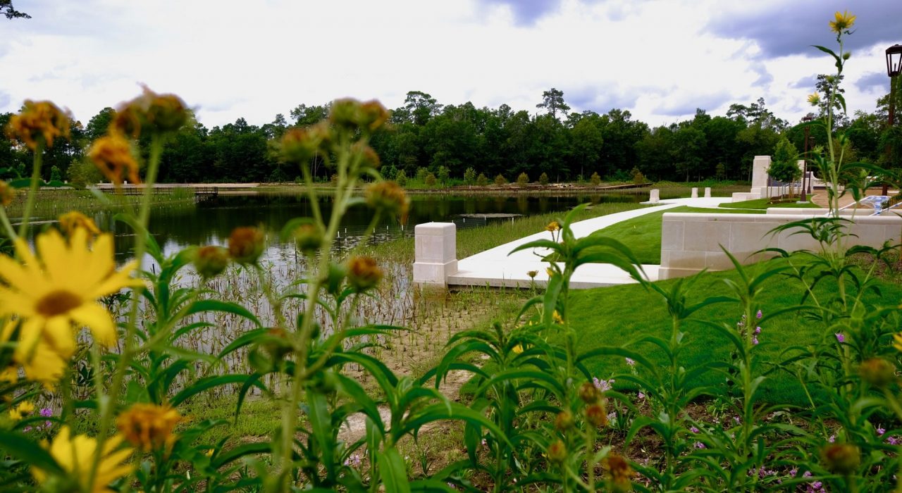 RemyMahl-Eastern-Glades-Native-Vegetation-in-Eastern-Glades-Memorial-Park-Conservancy-